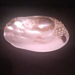 Vintage Mother Of Pearl Seashell Jewelry Dish/Trinket Tray (B5)